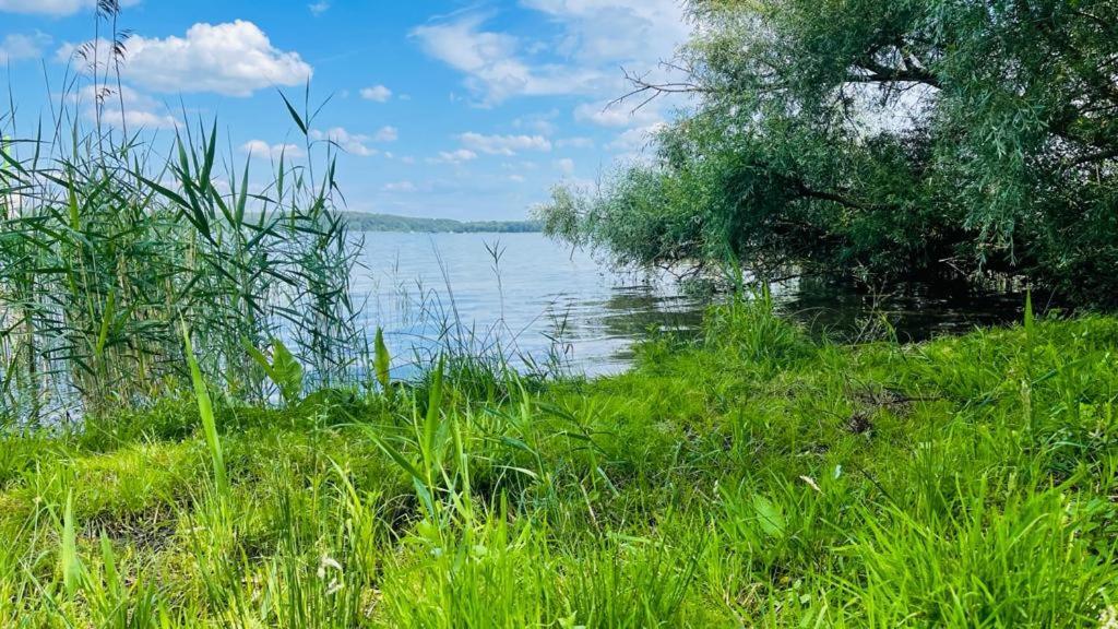 Ferienhauser Mit Seeblick Direkt Am Plauer See Plau am See Buitenkant foto